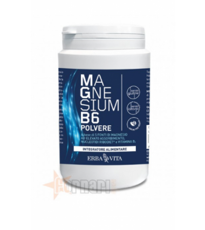 ERBA VITA MAGNESIUM B6 POLVERE 200 GR