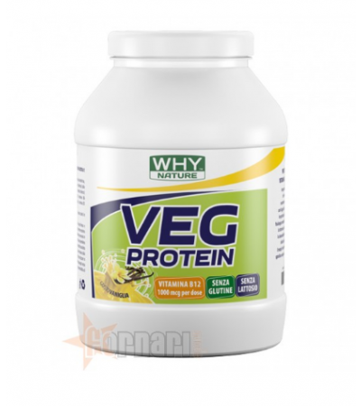 WHY NATURE VEG PROTEIN 750 GR Vaniglia