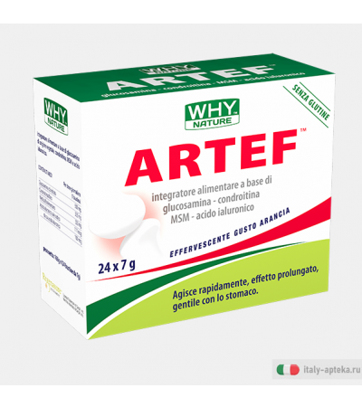 Artef Arthrimin 20 Buste
