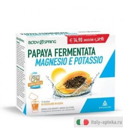 Body Spring Papaya Fermentata Magnesio/Potassio 14buste